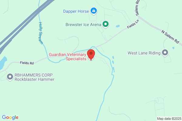 Guardian Veterinary Specialists