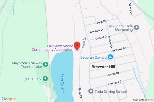Lakeview Mnr Community Association
