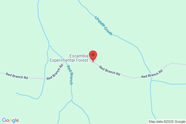 Escambia Experimental Forest