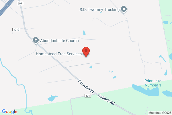 Homestead Tree Service