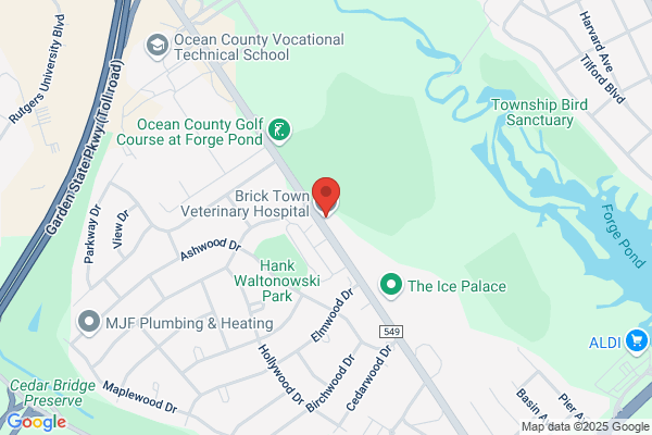 Brick Town Veterinary