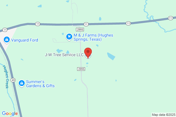 J & W Tree Service Llc