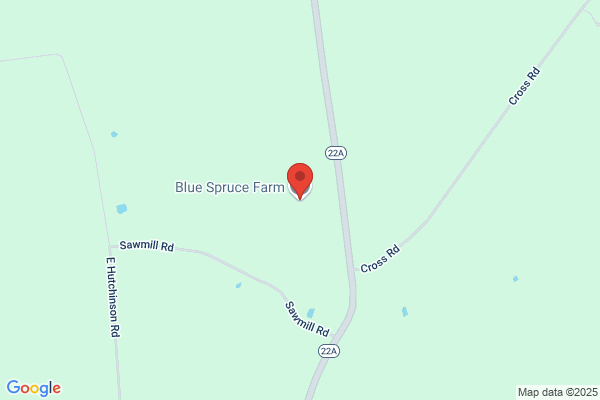 Blue Spruce Farm