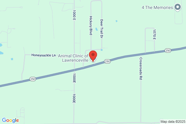 Animal Clinic Of Lawrenceville