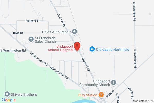 Bridgeport Animal Hospital