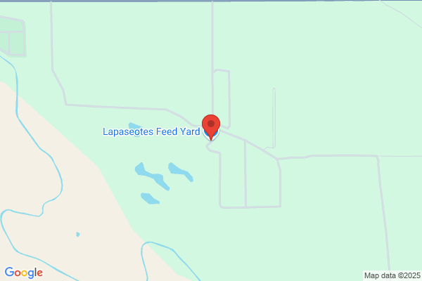 Lapaseotes Feed Yard