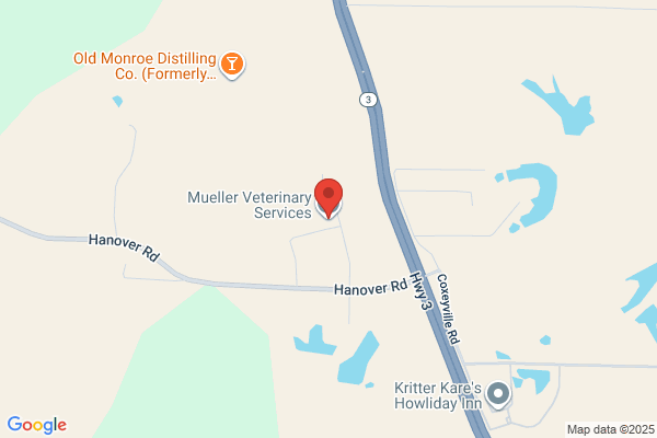 Mueller Animal Hospital