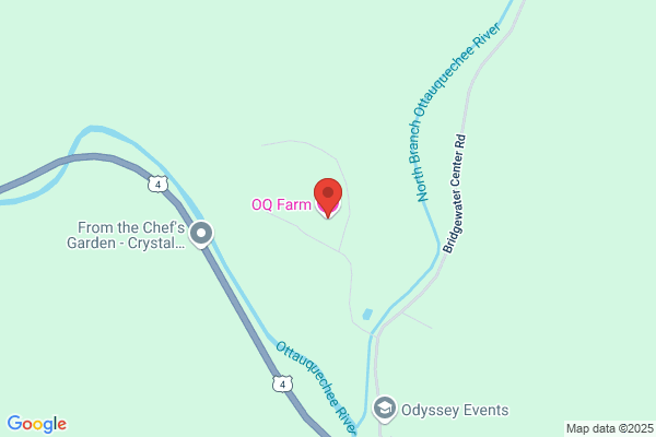 Quinn Co Inc the