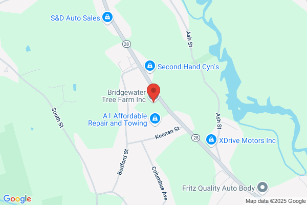 Bridgewater Tree Farm Inc.