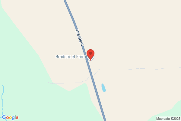 Bradstreet Counseling Service