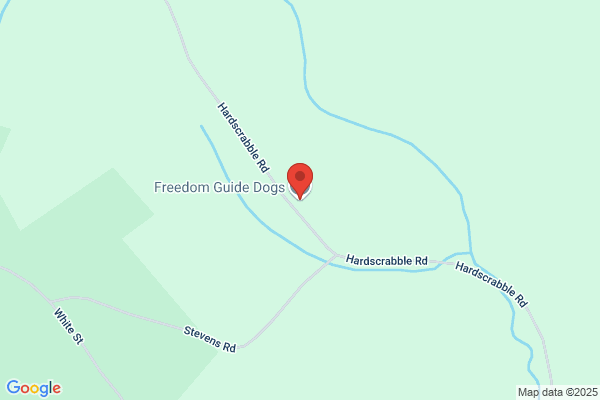 Freedom Guide Dogs