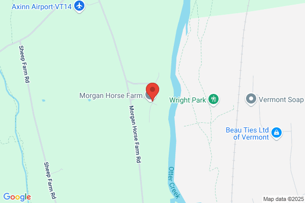 Morgan Hill Farms