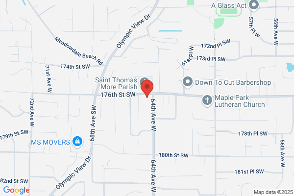 Arborist Tree Service