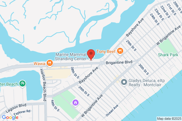 Marine Mammal Stranding Center
