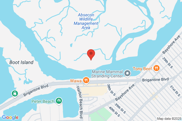Shore Plumbing Co