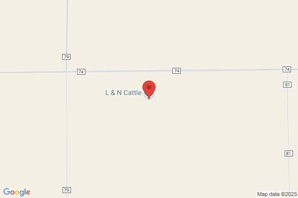 L & N Cattle Company