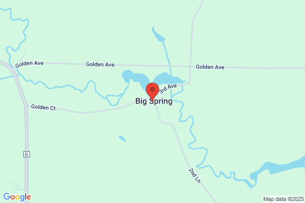 Big Springs Horse Market Llc