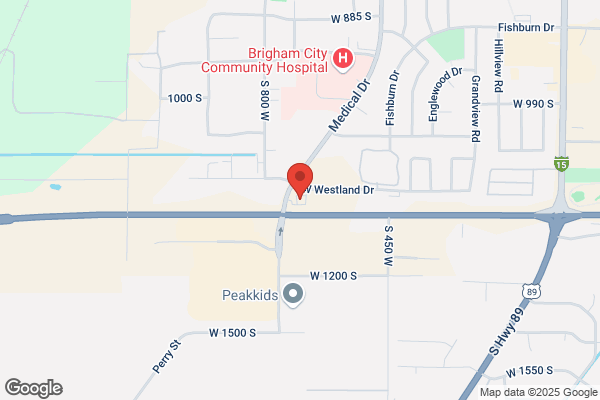 Top Stop Chevron - Brigham City C32