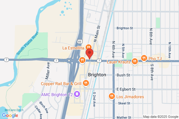 New You Brighton