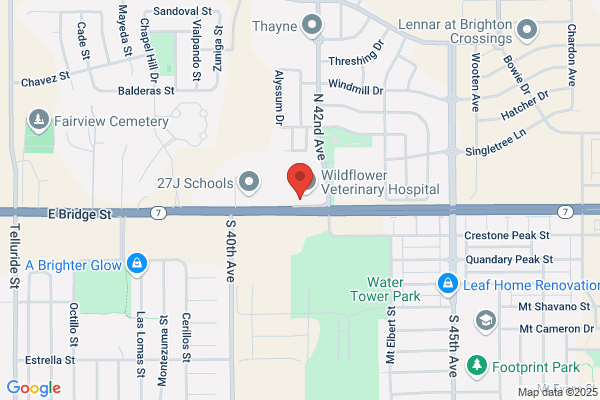 Bridge Street Dental