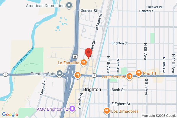 Brighton Water Removal Pros