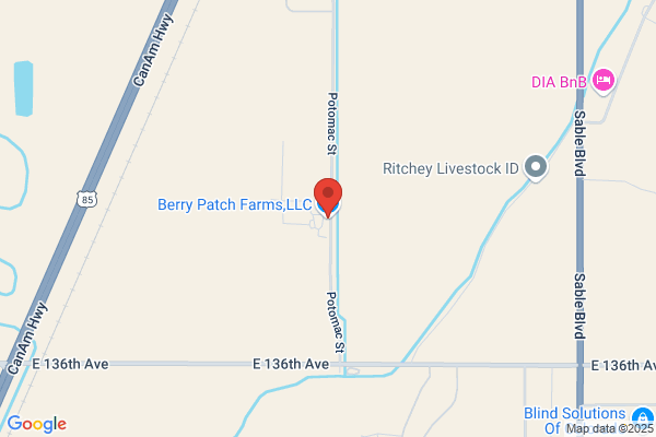 Berry Patch Farms