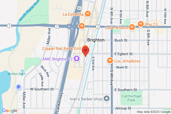 Brighton Pet Grooming