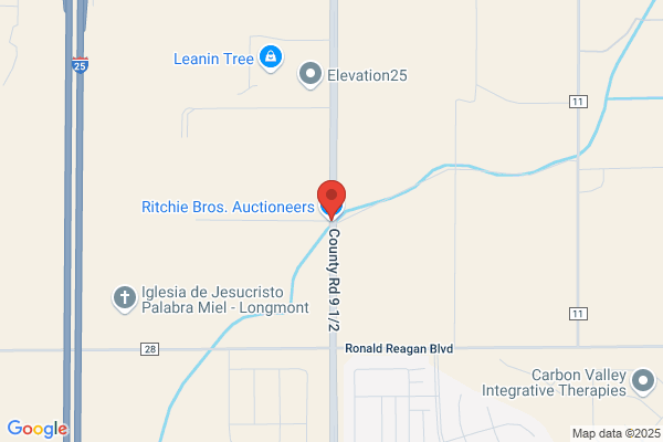 Ritchie Bros Auctioneers