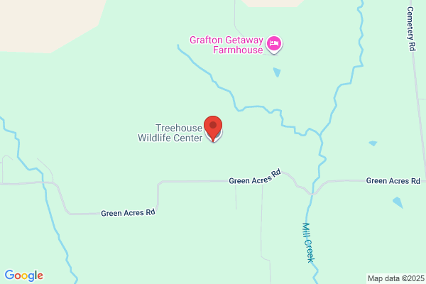 Treehouse Wildlife Center Inc