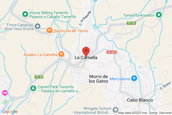 A Camella