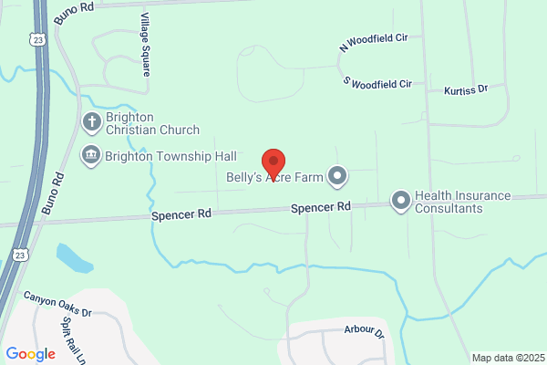 Brighton Area Schools, Spencer Elementary