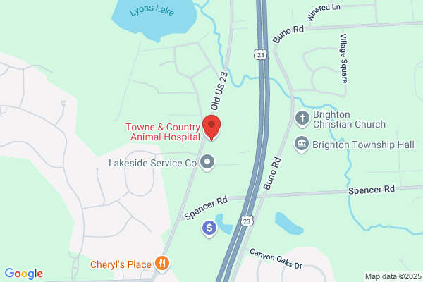 Towne & Country Animal Hospital