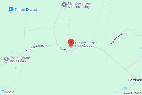 Tommy's Tree Service