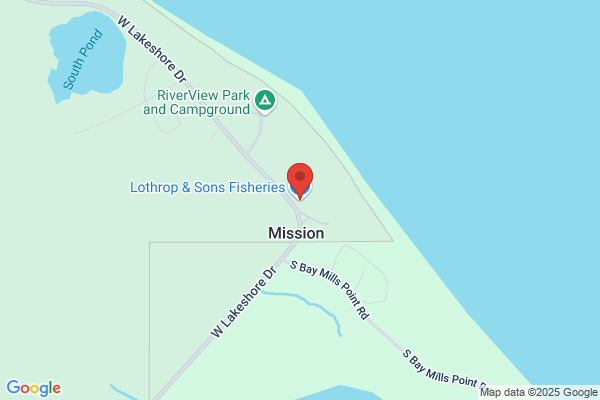 Ranta's Fish Shed