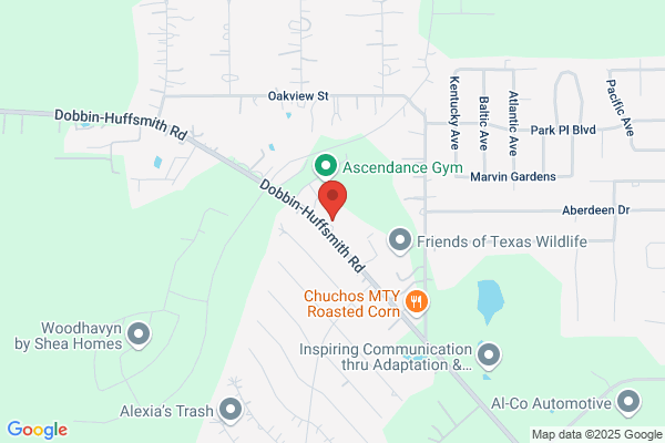 Circle N Exxon