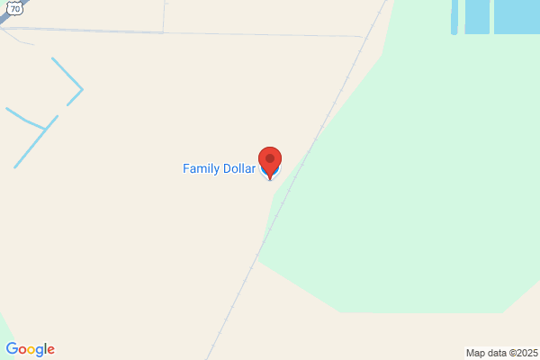 Family Dollar Stores Inc