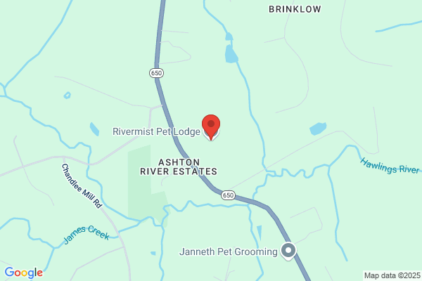 Rivermist Pet Lodge