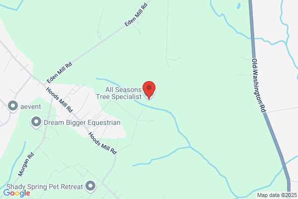 All Seasons Tree Specialists
