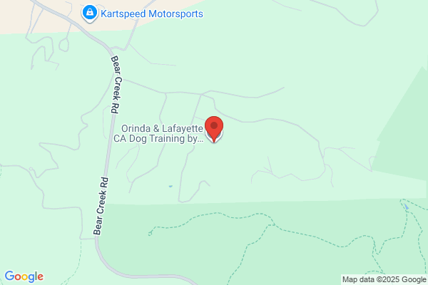 Dog Dynamics Dog Training - Briones