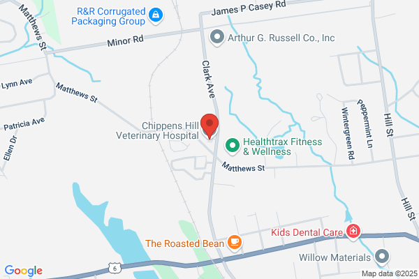 Statewide Veterinary Clinics