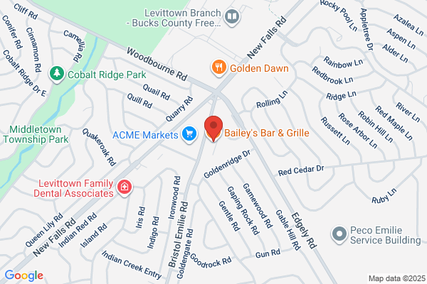 Bailey's Bar & Grille