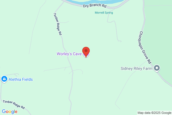 Worley Amusement Inc