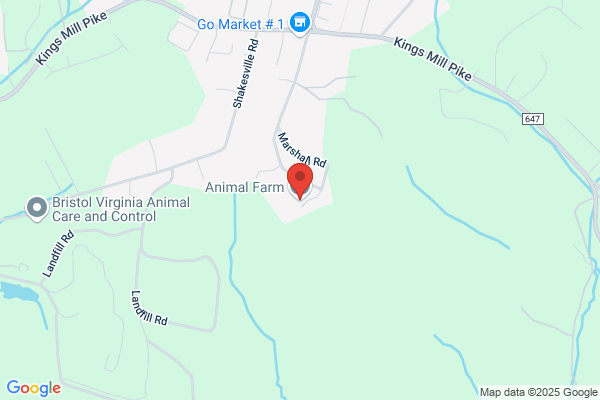 The Animal Farm