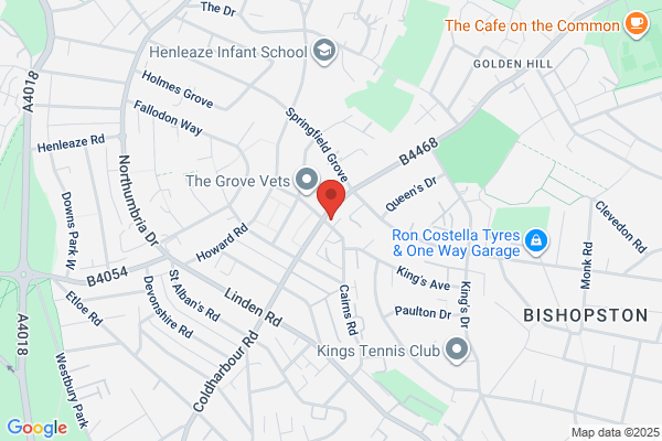 Bristol Chiropractic