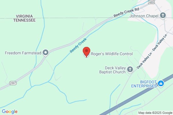 Gotcha Wildlife Removal Services