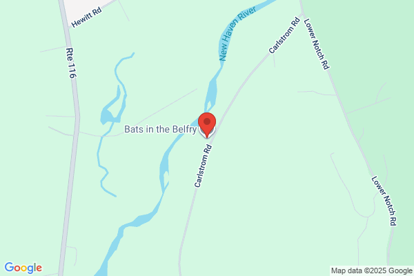 Bats in the Belfry LLC