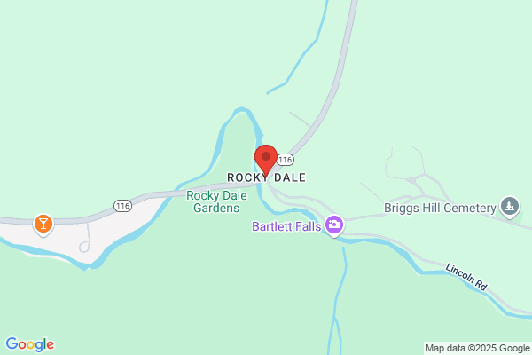 Rockydale Pizza