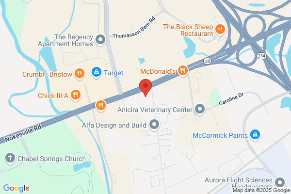 Advance Auto Parts