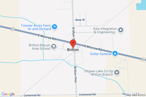 Britton Village of, Library