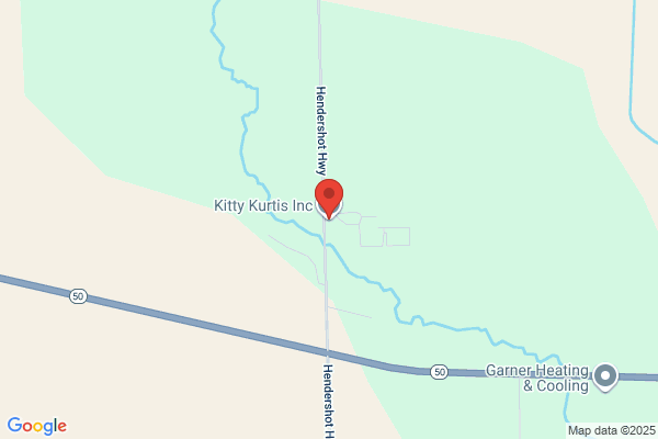 Kitty Kurtis Inc